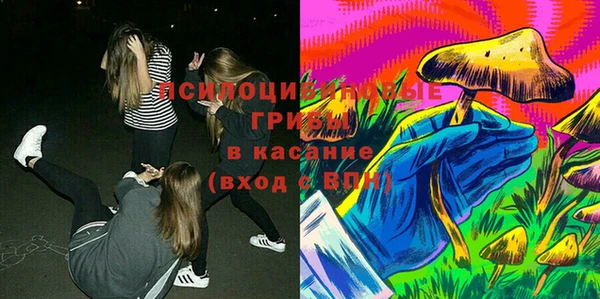 гидропоника Белокуриха