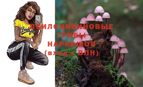 гидропоника Белокуриха