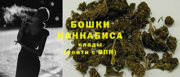 гидропоника Белокуриха