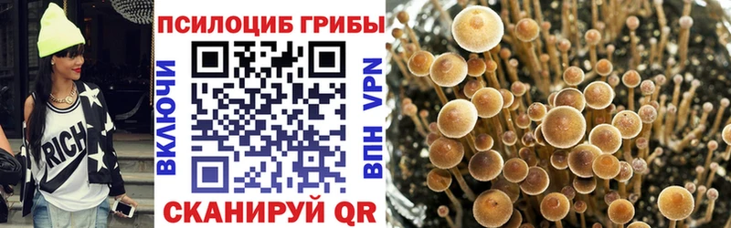 Псилоцибиновые грибы GOLDEN TEACHER  мега tor  Пенза 