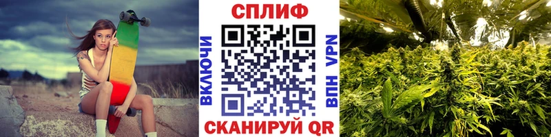 Бошки Шишки марихуана  купить наркотики цена  Пенза 